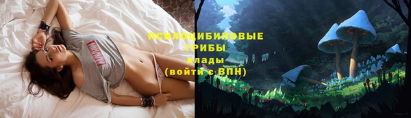 не бодяженный Семилуки