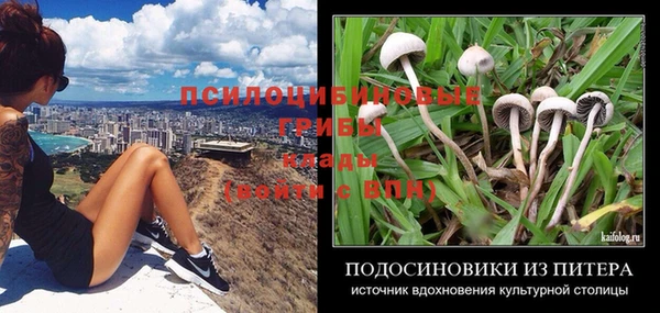 ALPHA-PVP Белокуриха