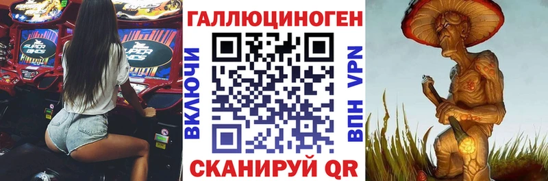 Псилоцибиновые грибы Psilocybe магазин продажи Красный Холм